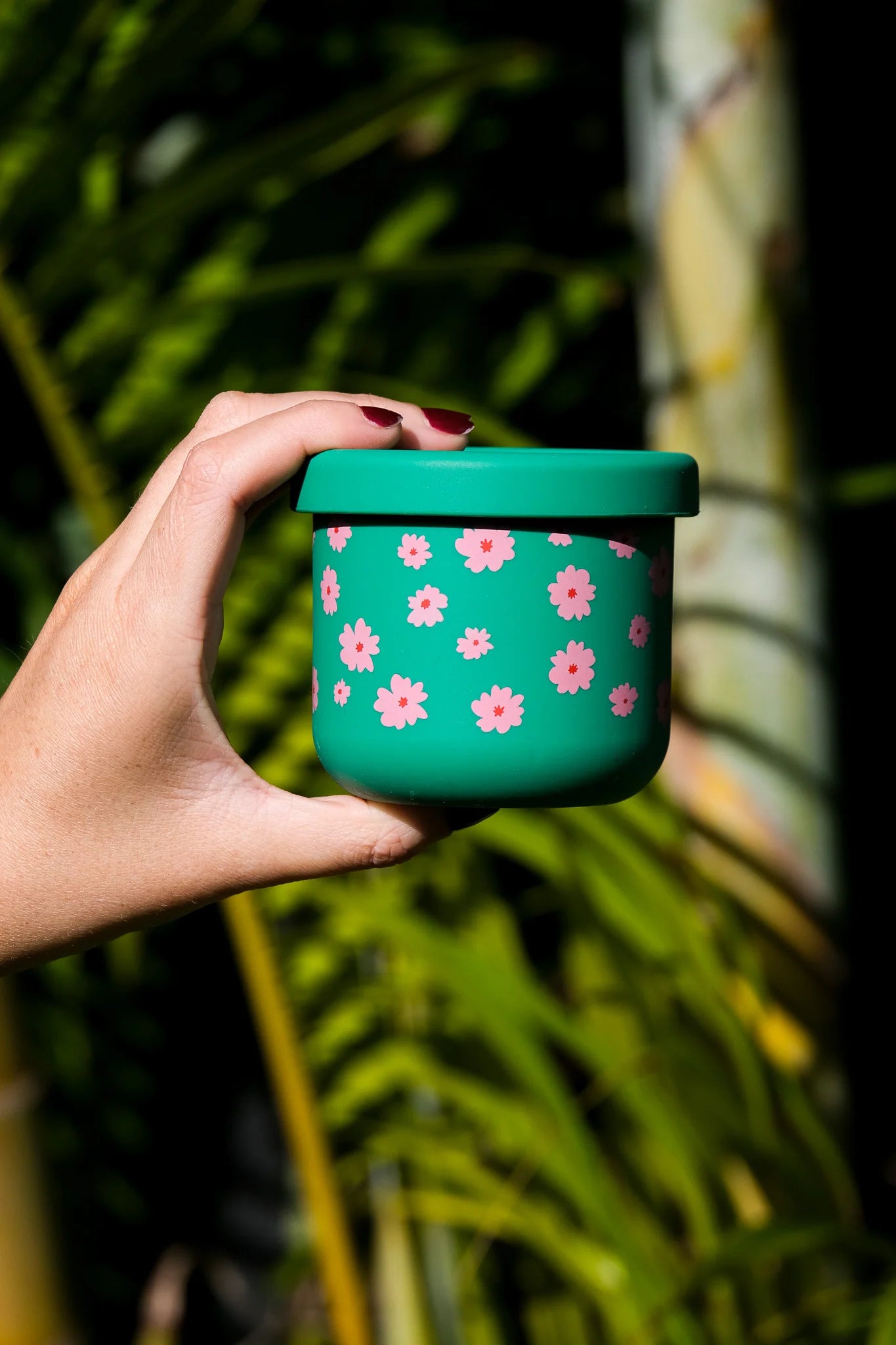 BB CINO 250ml Silicone Snack Pot