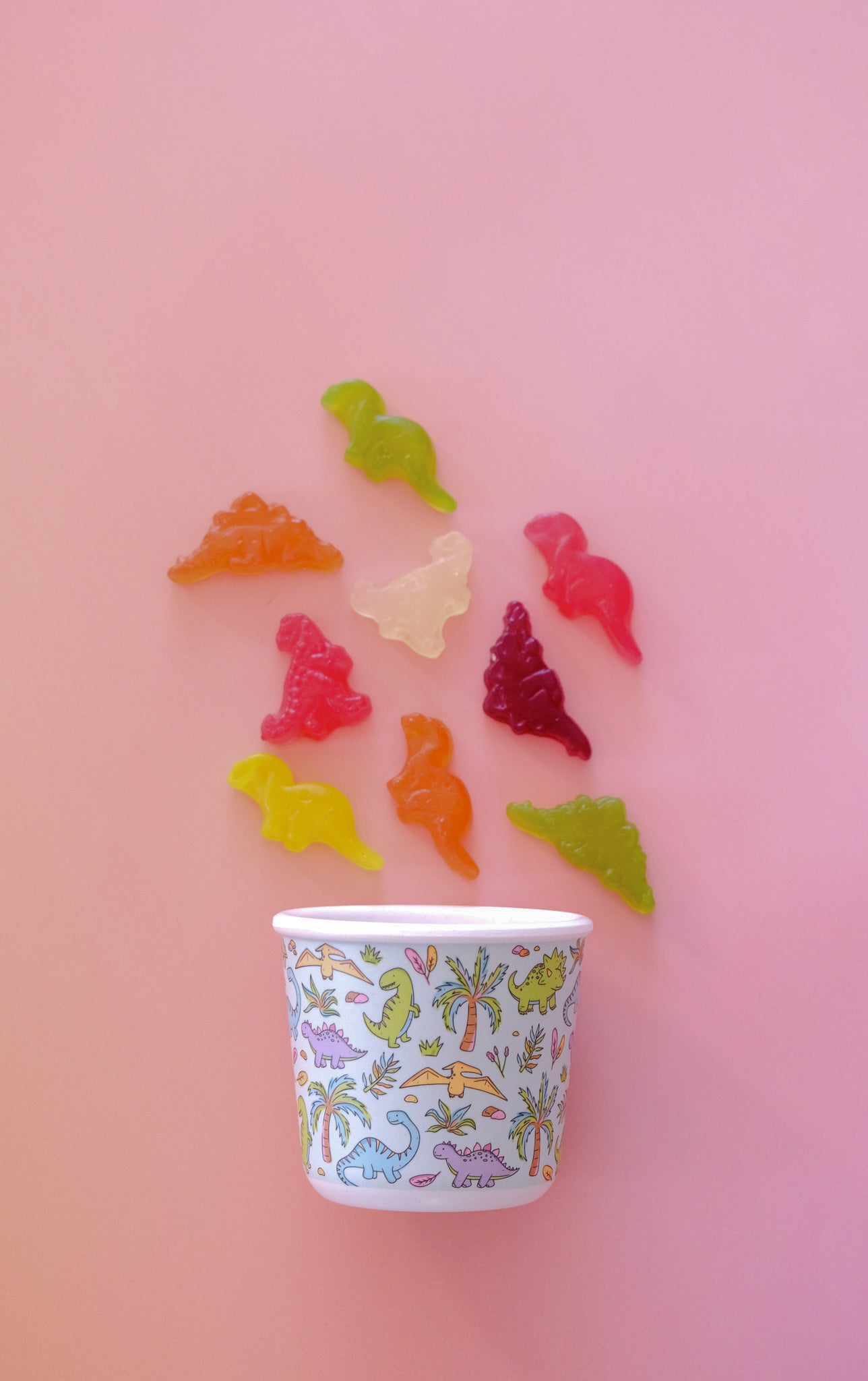 BB CINO 220ml Bamboo Snack Pot